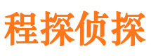 武川侦探